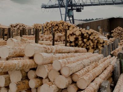 Holz-Industrie
